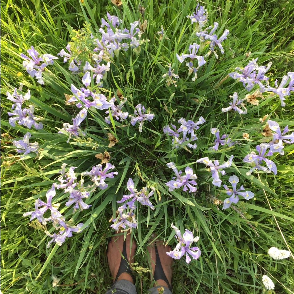 Meet your Posher, Abigail